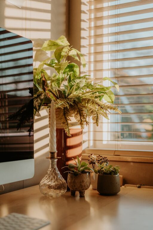 How to Create a Cozy and Productive Home Office Space